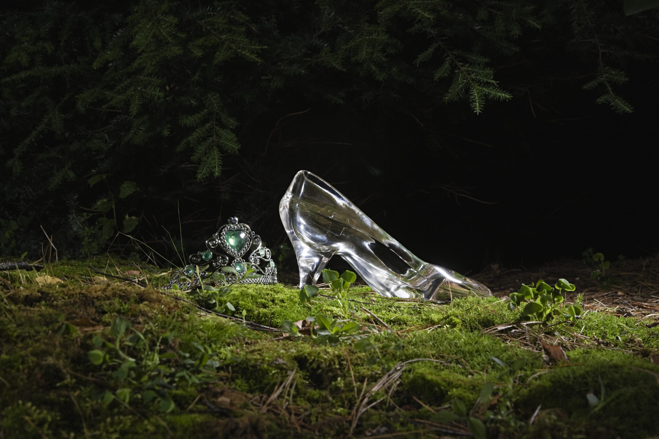 a Tiara and glass slipper with the forest in the background.